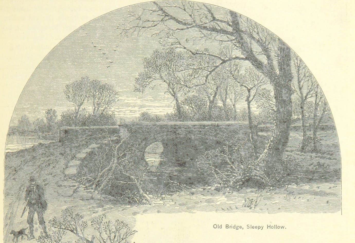 11108806983_2d5d28206d_h