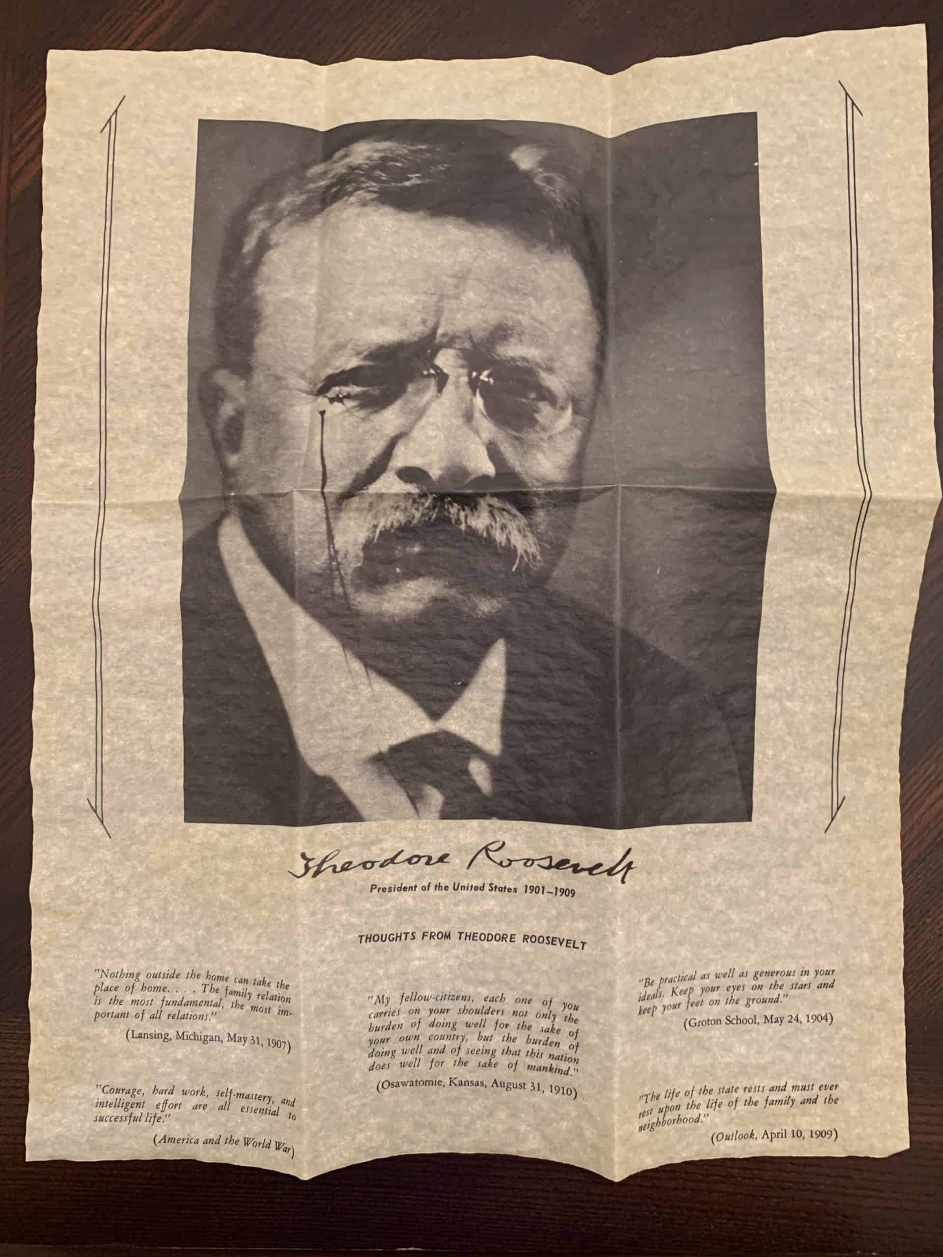 Theodore Roosevelt Portrait and Thoughts - Image 2