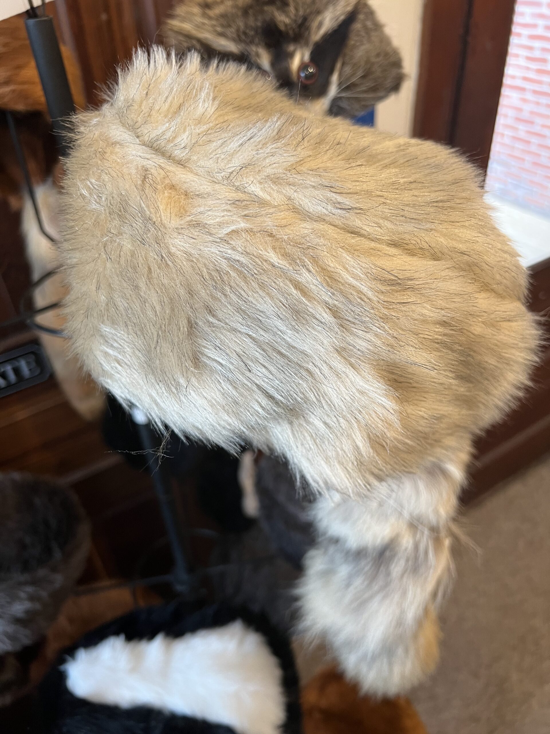 Daniel Boone Coyote Cap