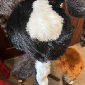 Daniel Boone Skunk Cap