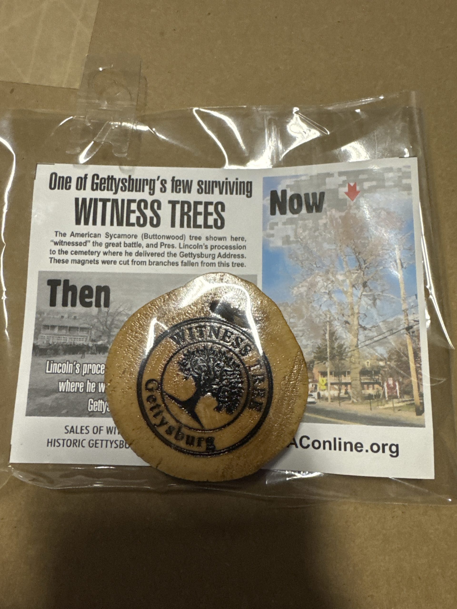 Gettysburg Witness Tree Magnet