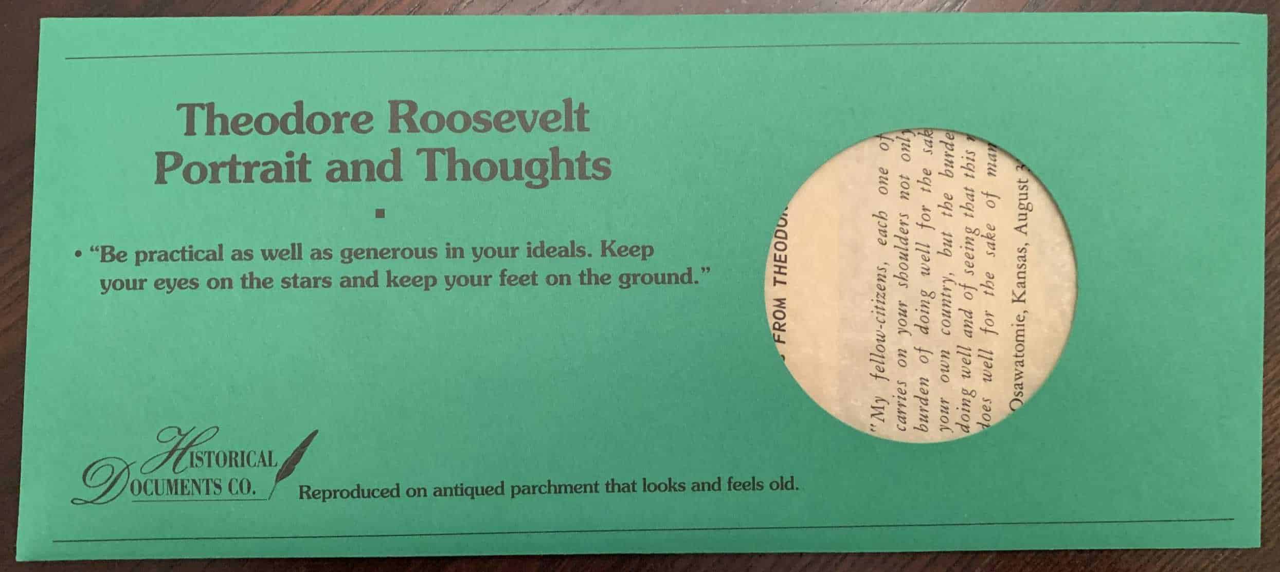 Theodore Roosevelt Portrait and Thoughts