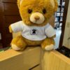 Plush 6" Bear with Philadelphia T-Shirt