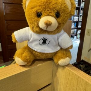 Plush 6" Bear with Philadelphia T-Shirt