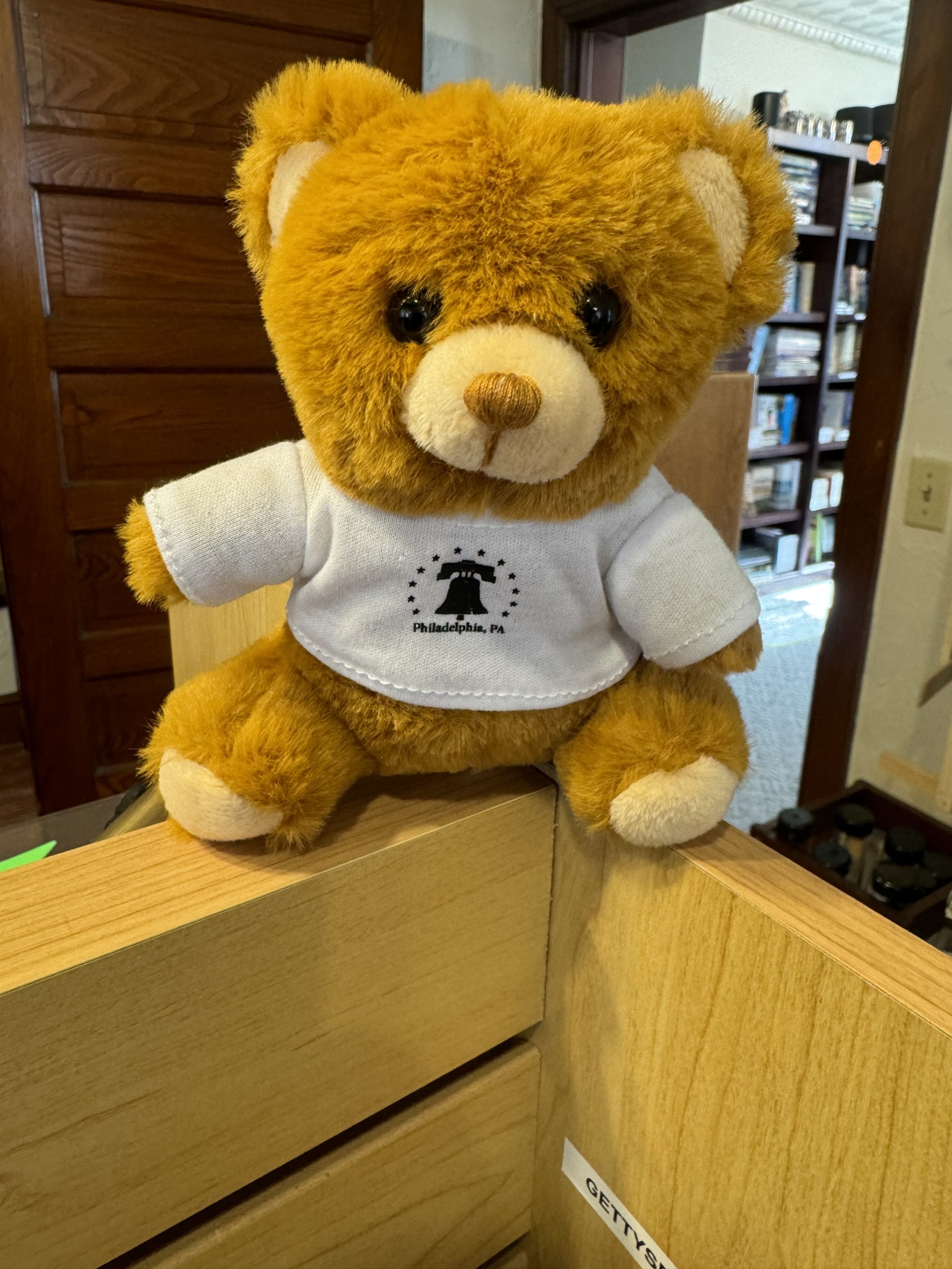 Plush 6" Bear with Philadelphia T-Shirt