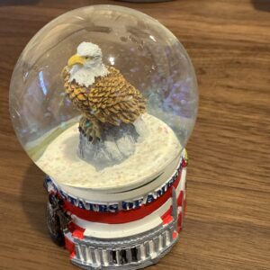 U.S. Flag with Bald Eagle - Waterball