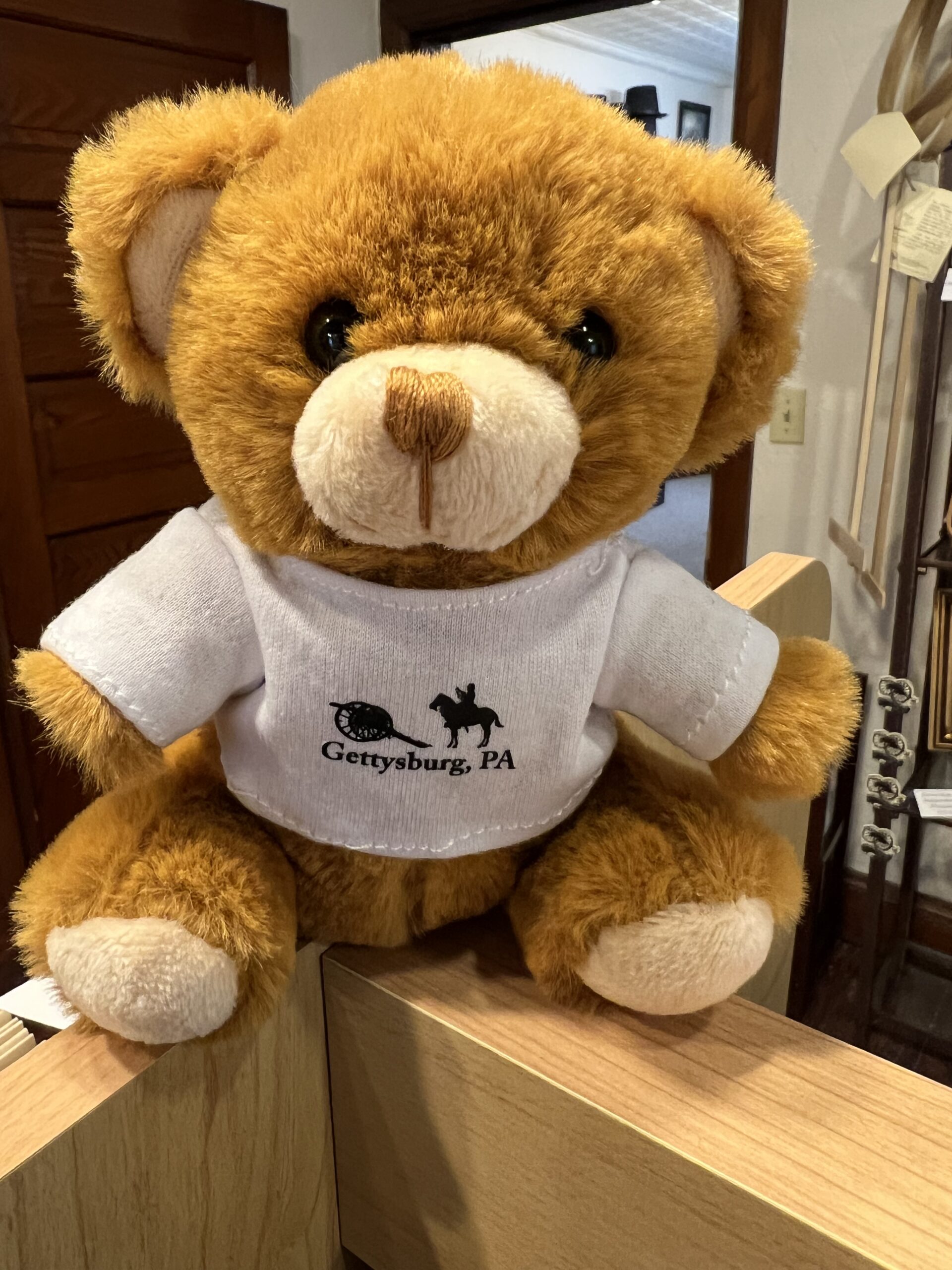 6" Plush Bear w. Gettysburg T Shirt