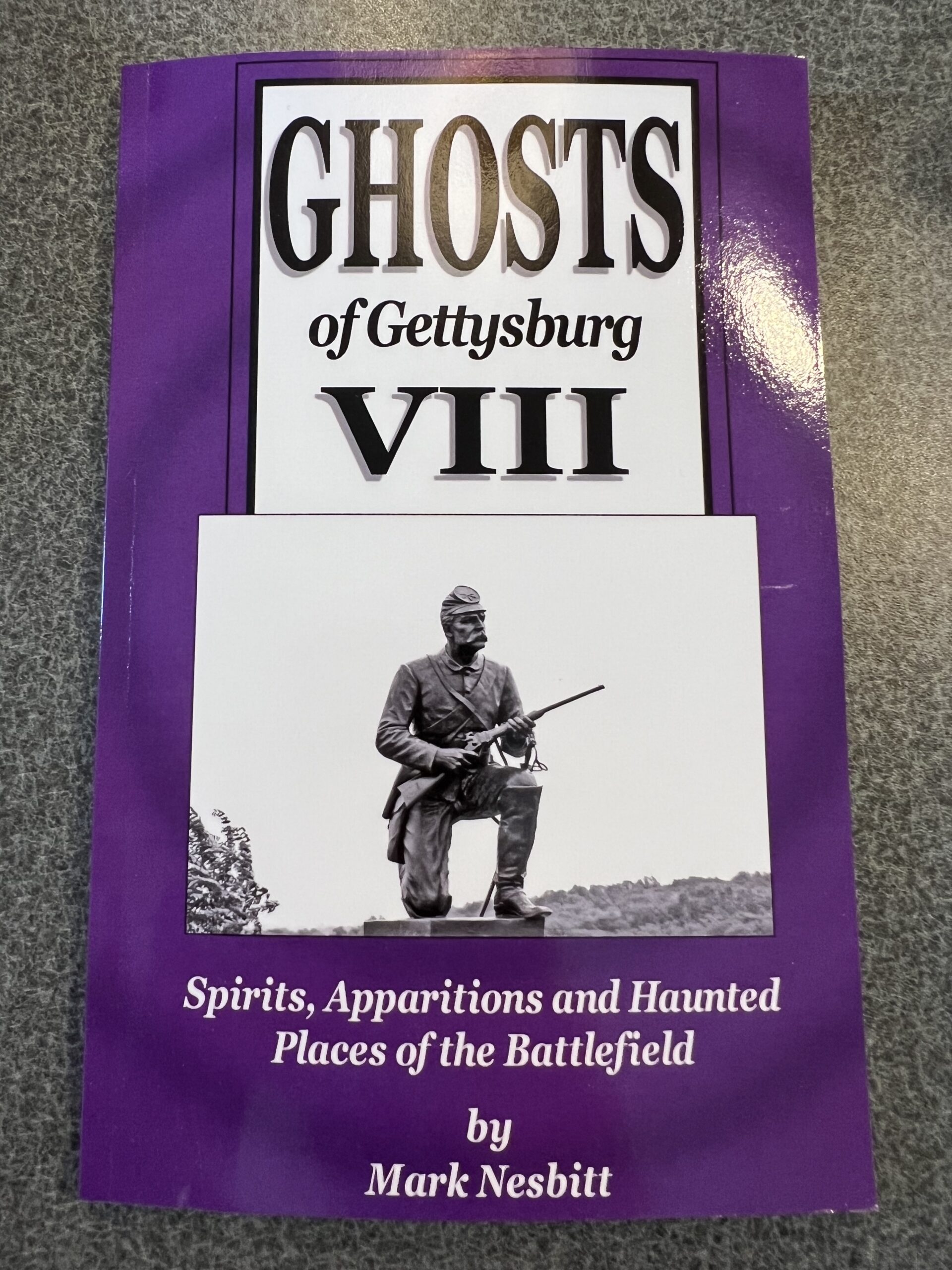 Ghosts of Gettysburg VIII