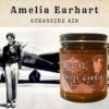 Amelia Earhart Candle