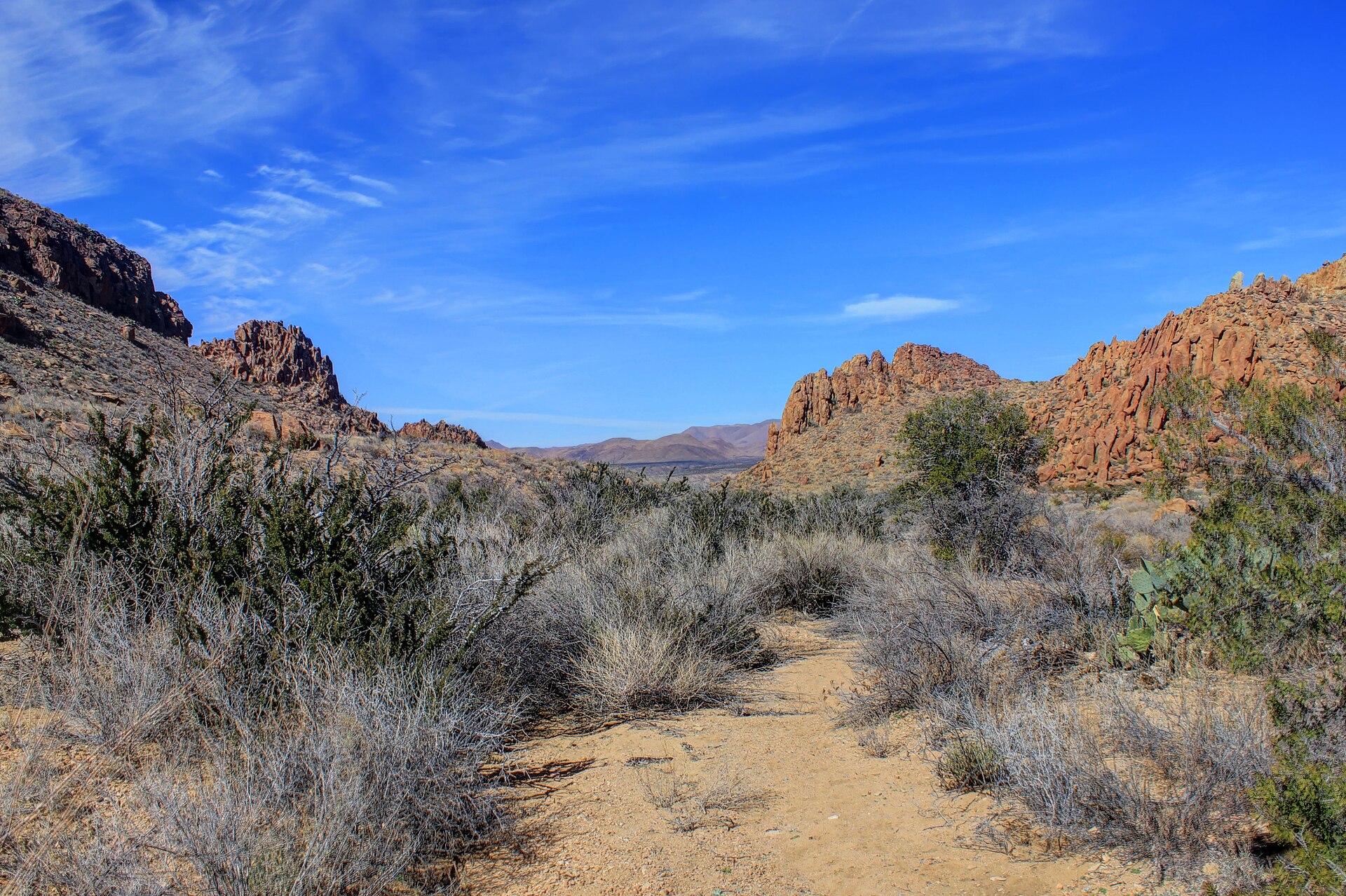 The Vast Wilderness of the Rio Grande