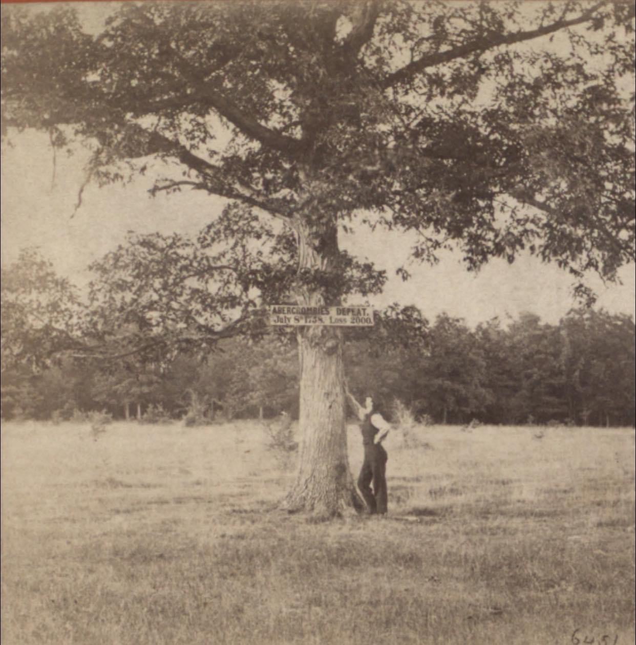 The Battle of Ticonderoga: A Reminder on the Trees