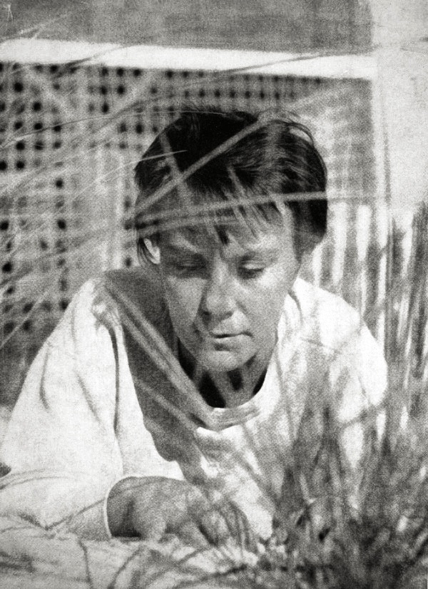 The Literary Lightning Bolt of Harper Lee