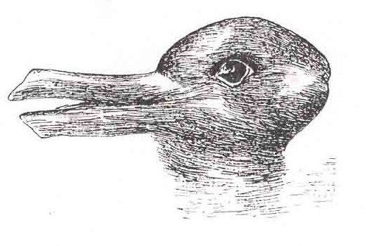 The Shift of the Paradigm: Thomas Kuhn and the Optical Illusion