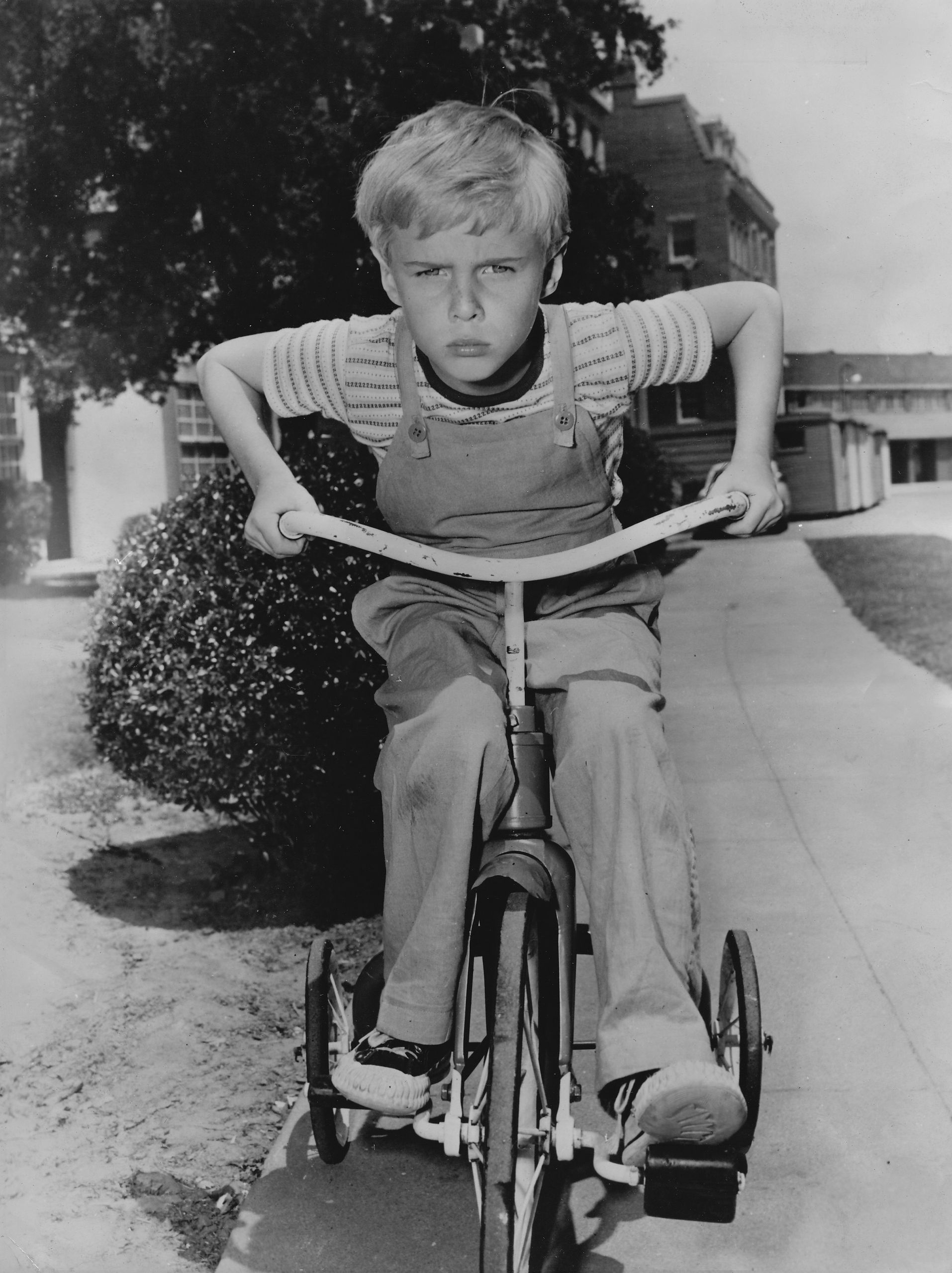Dennis the Menace: The Hidden Toll of Child Stardom and a Navy Rescue