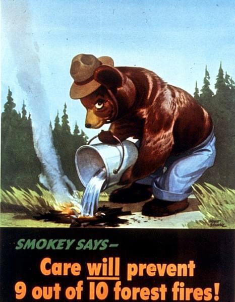 Smokey Bear: The Wartime Origins of a Forestry Legend