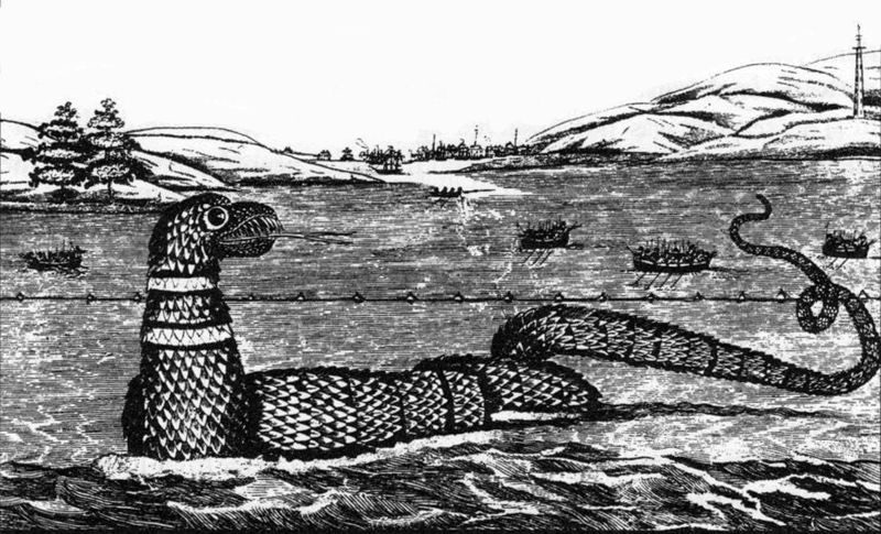 The Gloucester Serpent: The Two‑Year Wave of Maritime Wonder