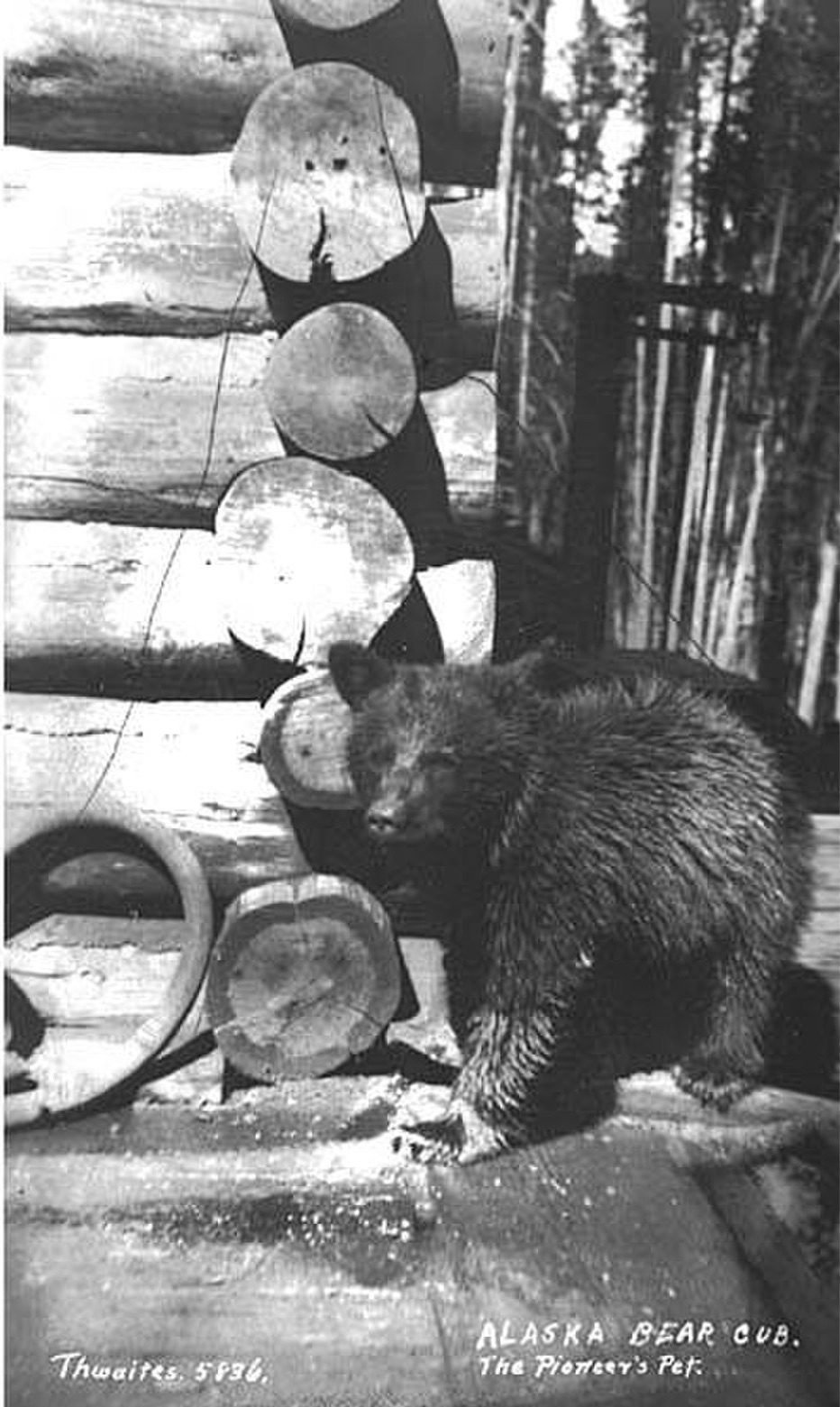 August 24, 1912 — The Alaska Organic Act: Organizing the Frontier Wilderness