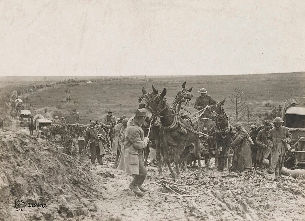 The Offensive at Saint-Mihiel