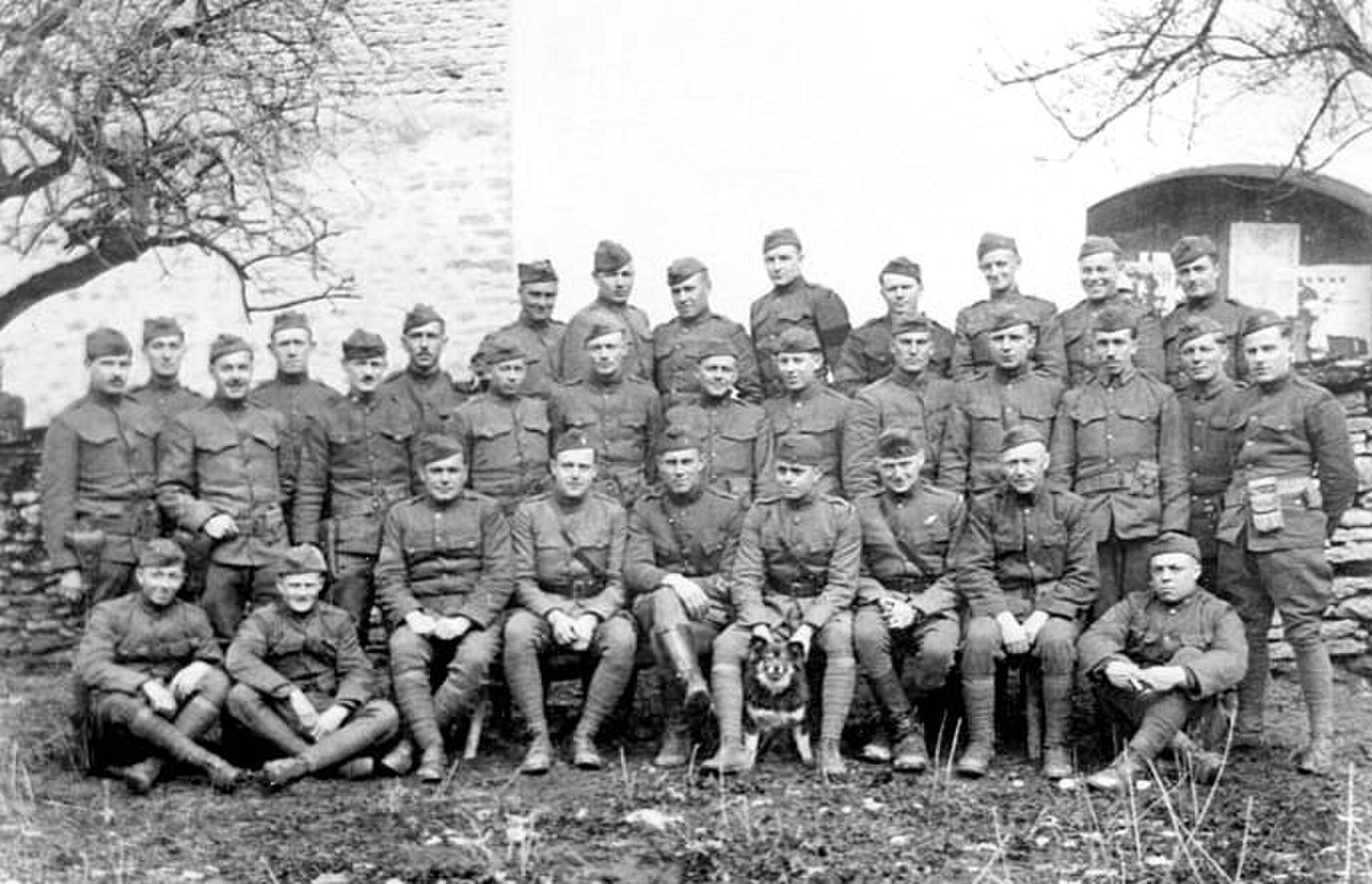The Wartime Rescue of Rin Tin Tin