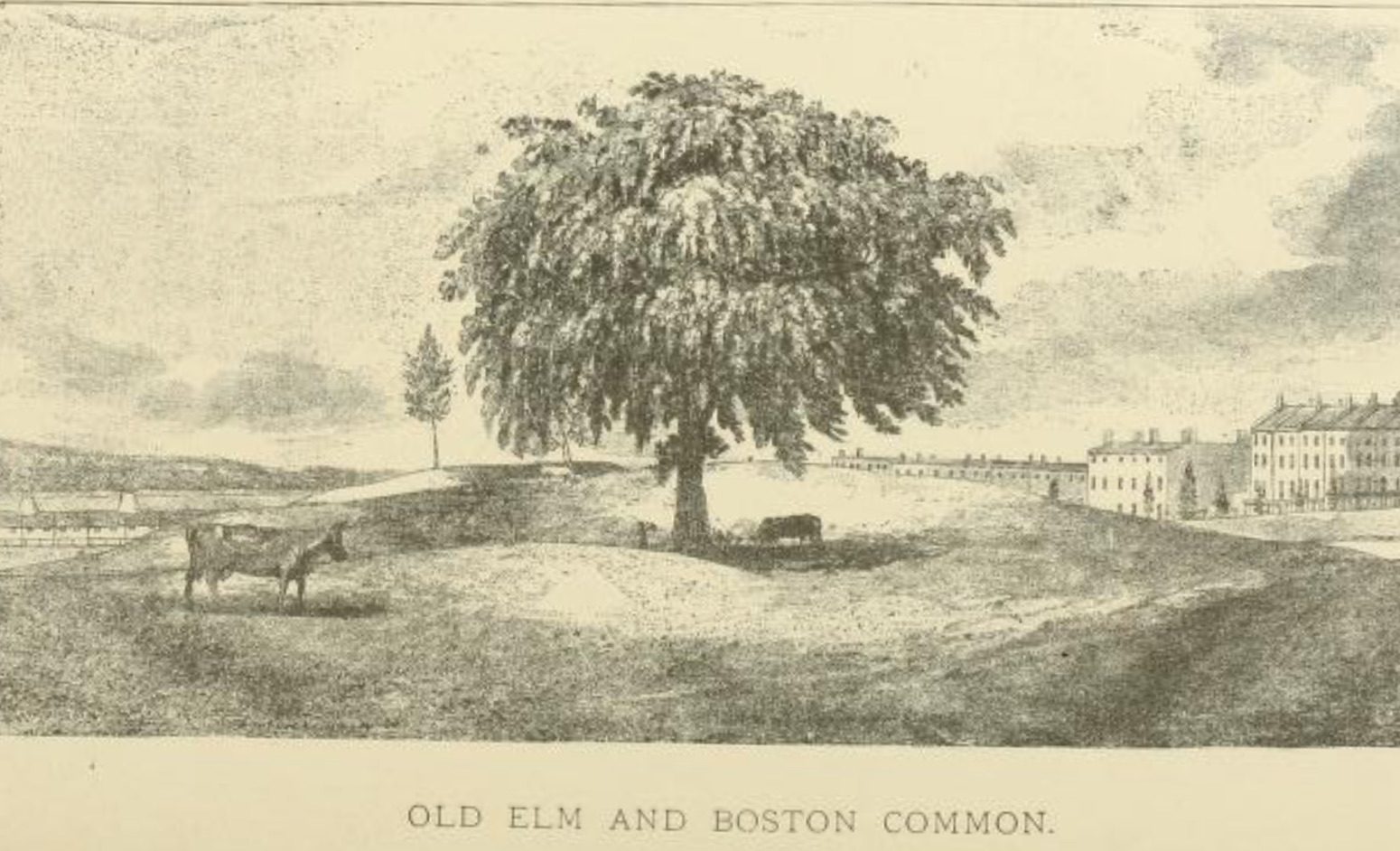The Naming of Boston