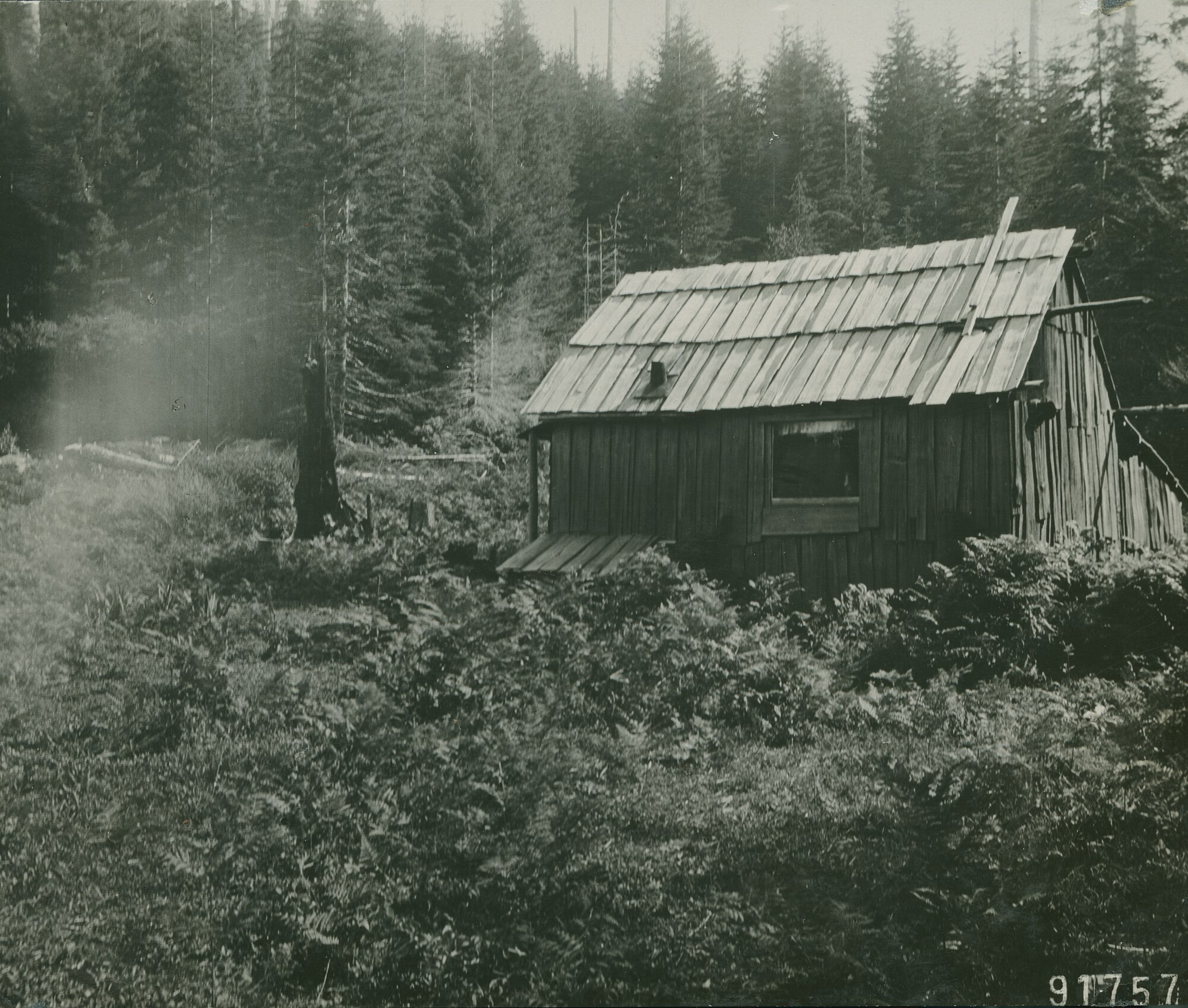 The Archival Record of Siuslaw National Forest