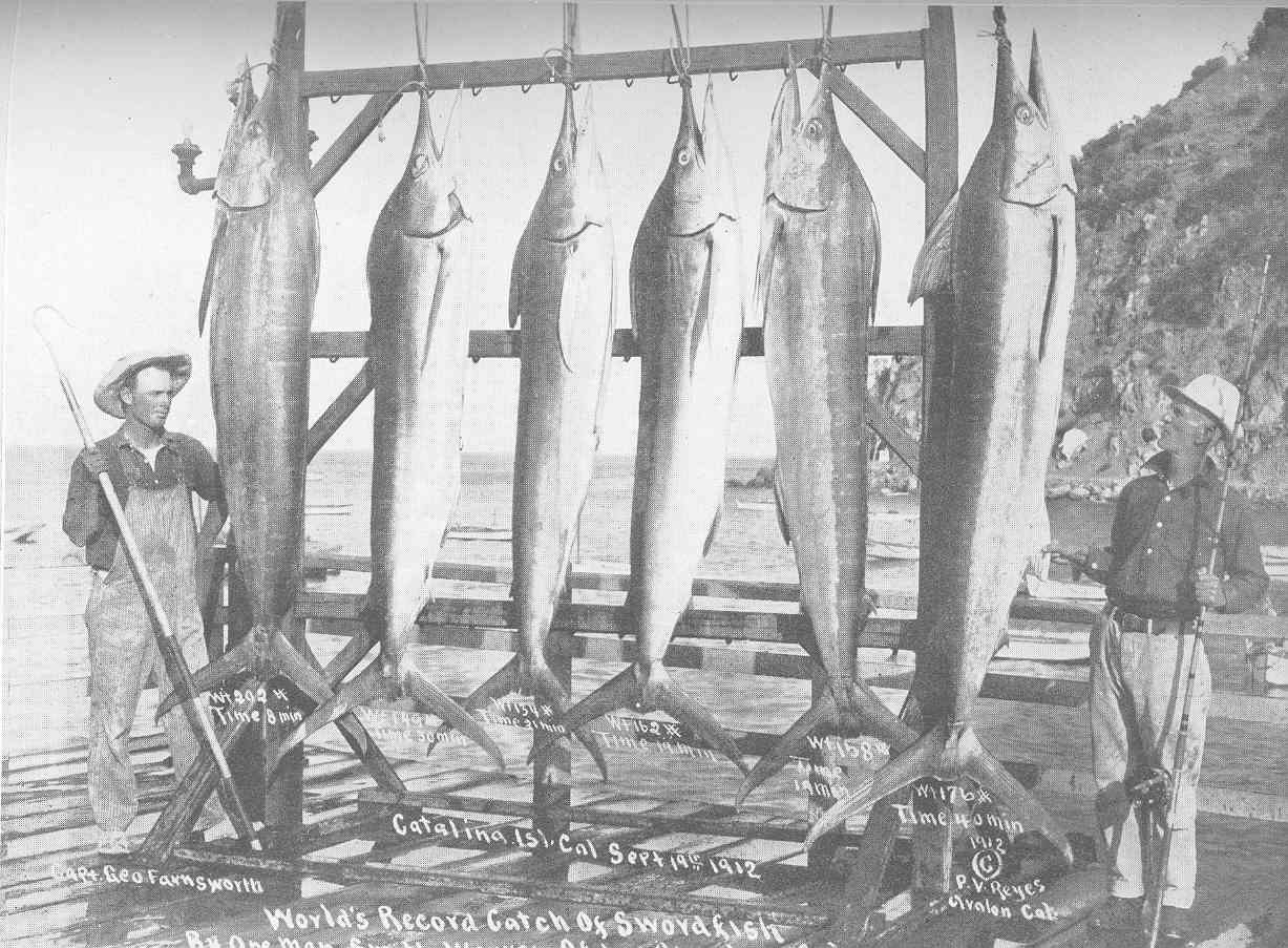 Smith Warren’s Six-Swordfish Catch at Santa Catalina Island