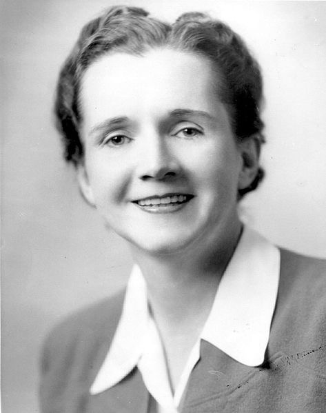 The Book That Helped Launch Modern Environmentalism: Rachel Carson’s Silent Spring