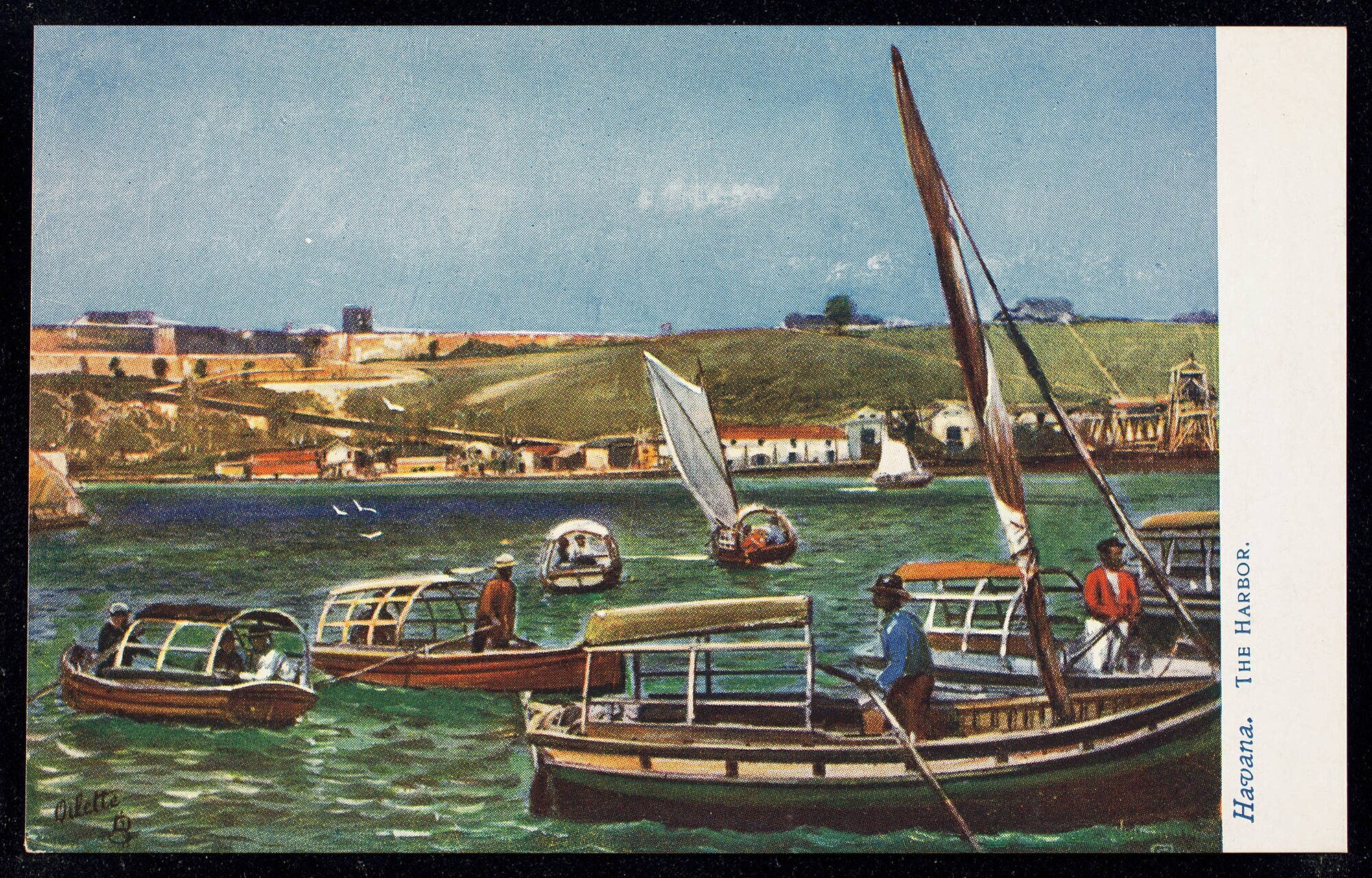 Tragedy in Havana Harbor: A Fatal Shark Attack, 1903